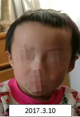 男的操女的逼软件